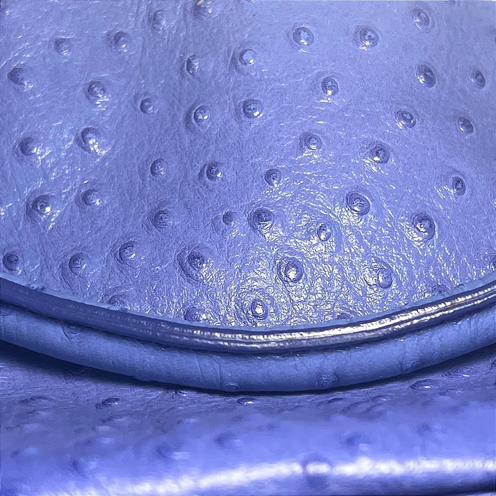 Brahmin Norah Hobo Blue Ostrich Embossed Leather Crossbody Bag Gold Hardware - Picture 14 of 16